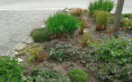 Bepflanzungen in Herzogenaurach